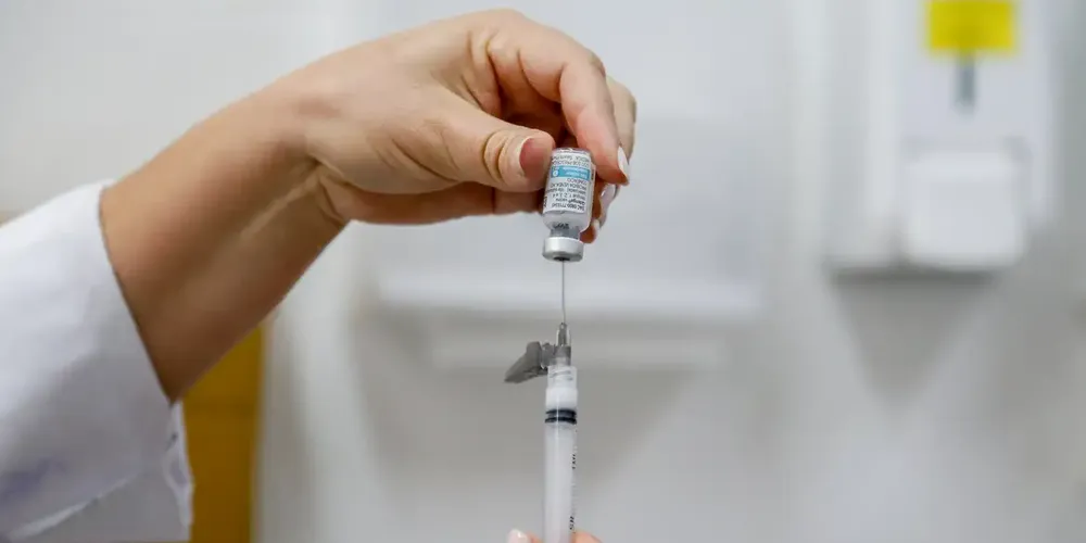 Dengue: Brasil tem, em 6 meses, 6,1 milhões de casos e 4,2 mil mortes