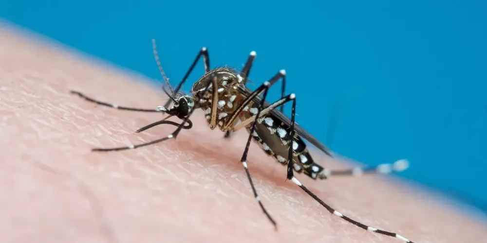 O aumento de novos casos foi de  15,38% se comparado ao boletim anterior