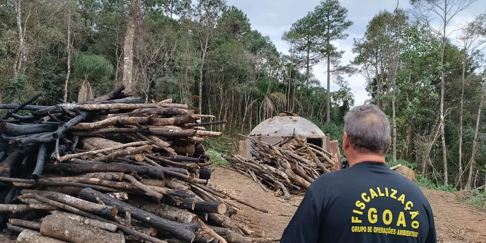 Técnicos do IAT aplicaram quase R$ 7 milhões em multa por desmatamento ilegal na região de Guarapuava