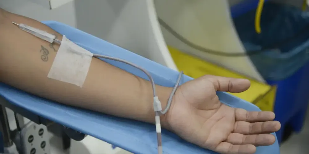 Dia Mundial do Doador de Sangue: saiba mais sobre a doação regular