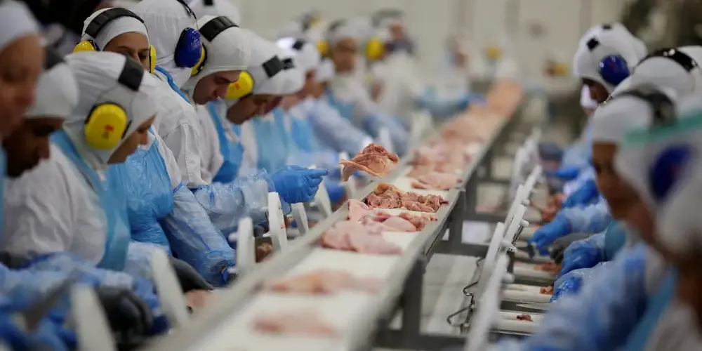 Setor é responsável por 22,8% do total de 8,3 milhões de pessoas empregadas na indústria nacional em 2022