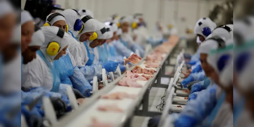 Setor é responsável por 22,8% do total de 8,3 milhões de pessoas empregadas na indústria nacional em 2022