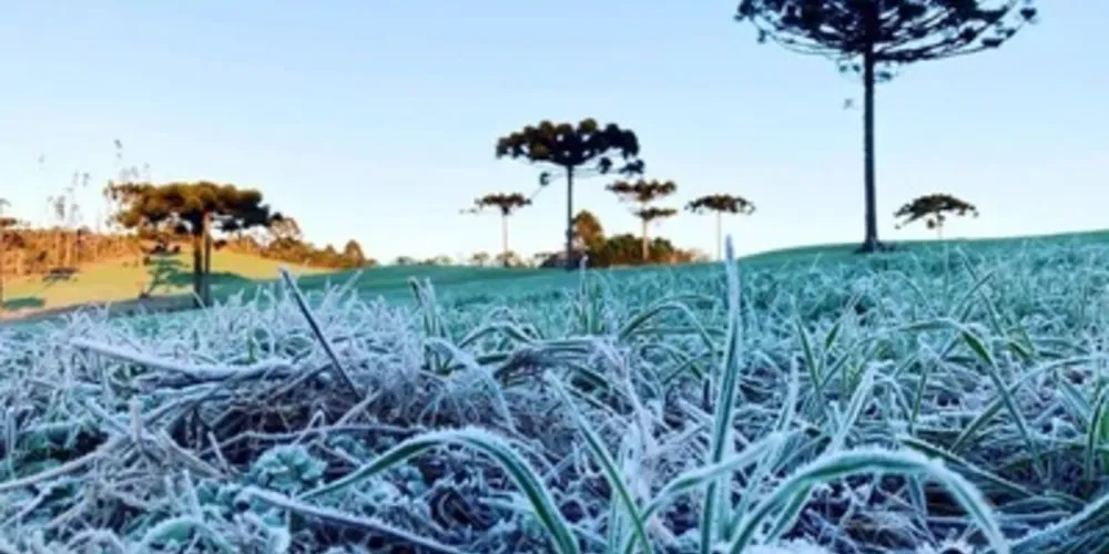 Há o risco leve de perda de plantações e temperatura mínima de 3°C