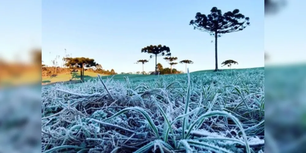 Há o risco leve de perda de plantações e temperatura mínima de 3°C