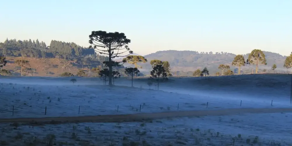 Massa de ar frio provoca queda de temperatura e geada no Sul