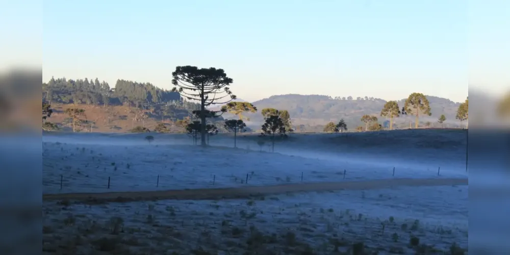 Massa de ar frio provoca queda de temperatura e geada no Sul