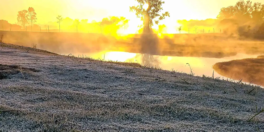 Para participar, os municípios devem assinar o Termo de Adesão e o Plano de Ação no SIFF