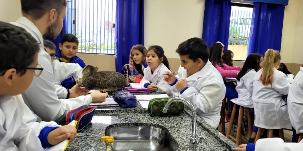 Uma das atividades consistiu na observação de lâminas no microscópio, após os alunos aprenderem a manusear a objeto.