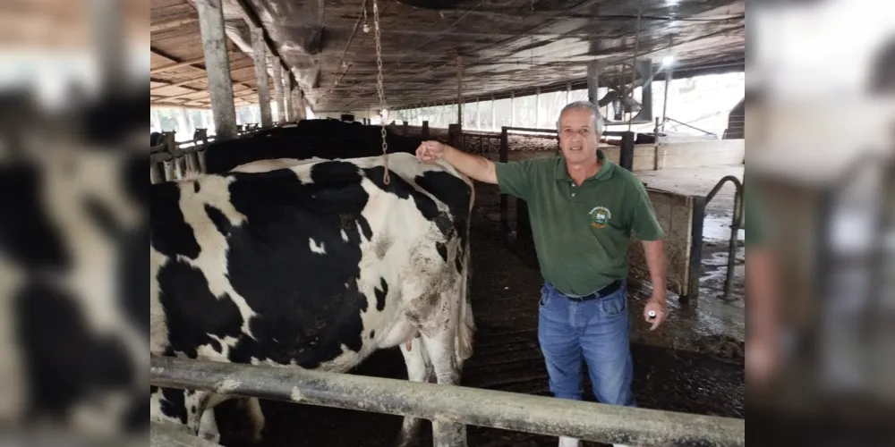 Os animais são acompanhados depois da inseminação para fazer o diagnóstico de gestação