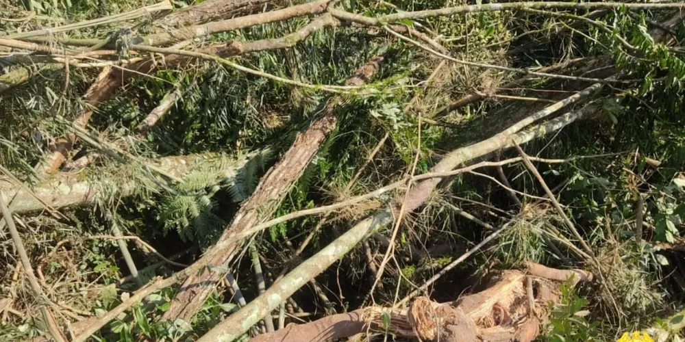 Dono de área rural é preso em flagrante e multado em R$ 295 mil