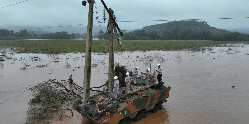 Uma investigação apurará o destino dos produtos desviados e responsabilizará os responsáveis pela fraude.
