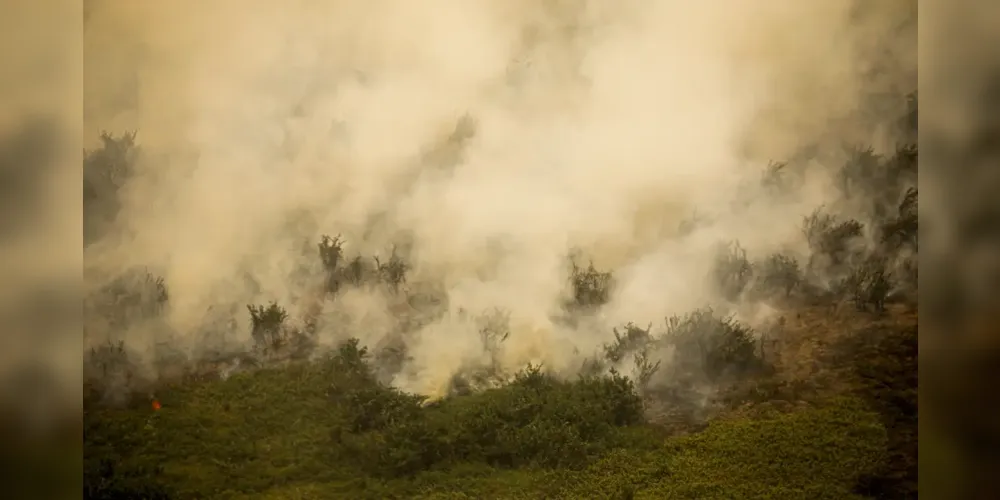 Pantanal tem este ano maior área queimada em junho