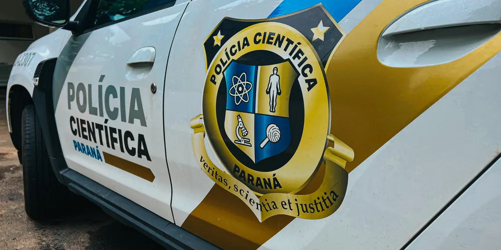 Polícia Científica e outros órgãos estiveram no local