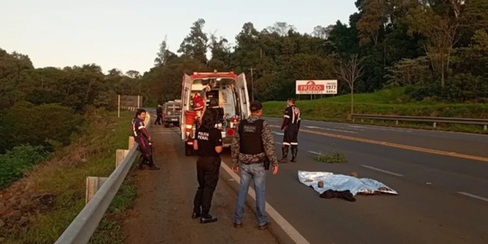 Atropelamento ocorreu em Francisco Beltrão