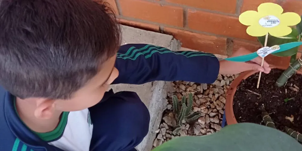 Flores, símbolo da campanha, foram um dos recursos utilizados pela classe