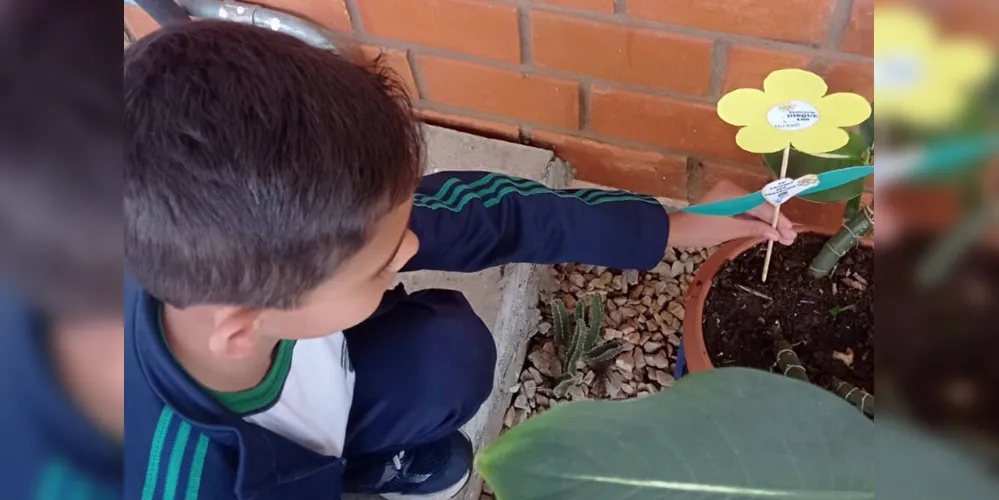 Flores, símbolo da campanha, foram um dos recursos utilizados pela classe