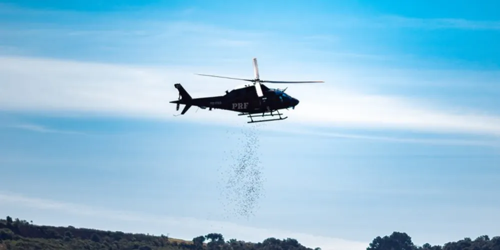 A aeronave da PRF foi essencial para a distribuição de grande quantidade de sementes por ampla extensão de áreas em recuperação, de difícil acesso