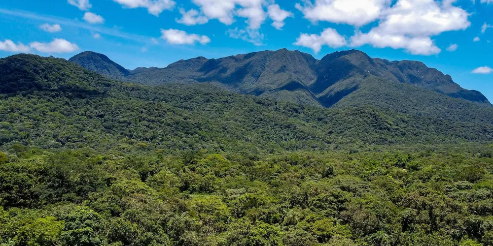 Paraná avança para ser 1º governo subnacional a adotar créditos de biodiversidade