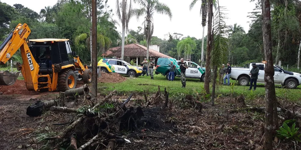 O Paraná reduziu em 78% o desmatamento da Mata Atlântica de 2022 para 2023