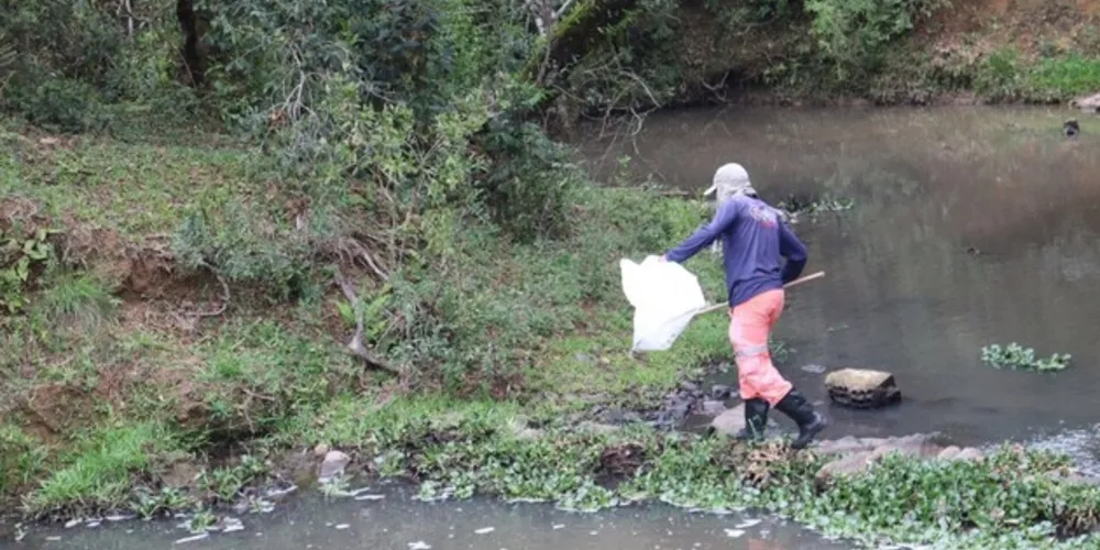 Fernando Wauricki, diretor de Meio Ambiente, destaca a importância da participação de todos nessa missão verde