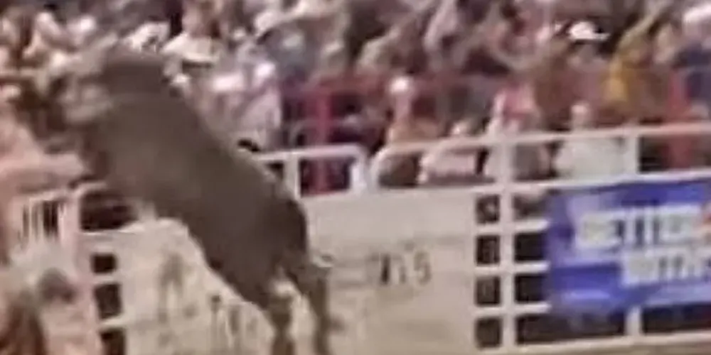 No próprio sábado, duas das pessoas que foram hospitalizadas já receberam alta