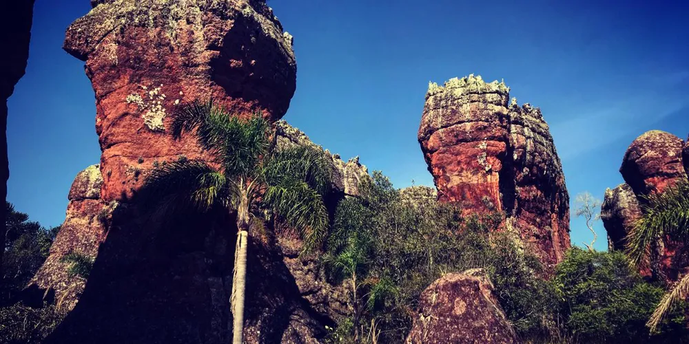Parque de Vila Velha fará festa junina com entrada gratuita