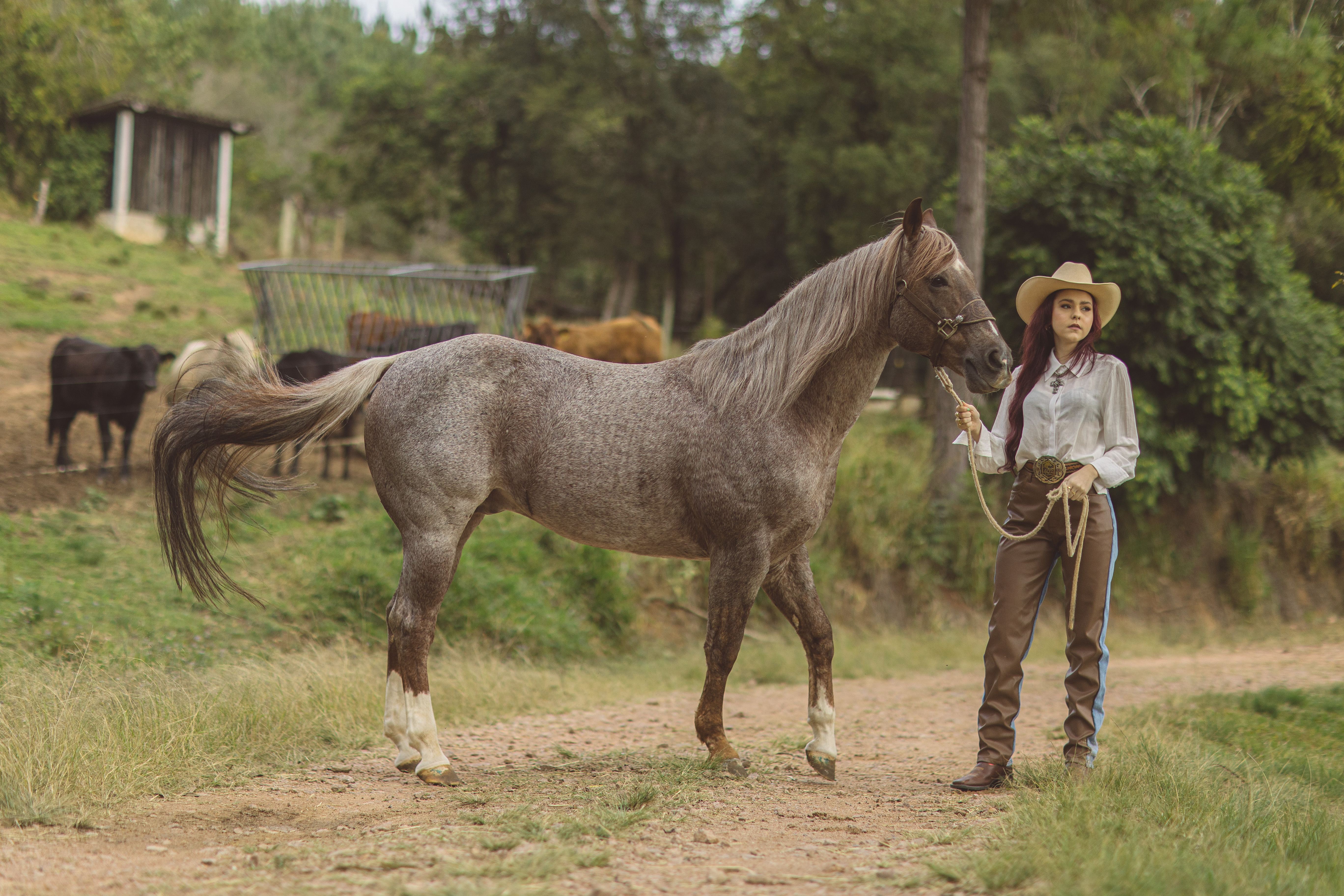 O 402Ranch, centro de criação de cavalos Quarto de Milha é um vibrante centro equestre.