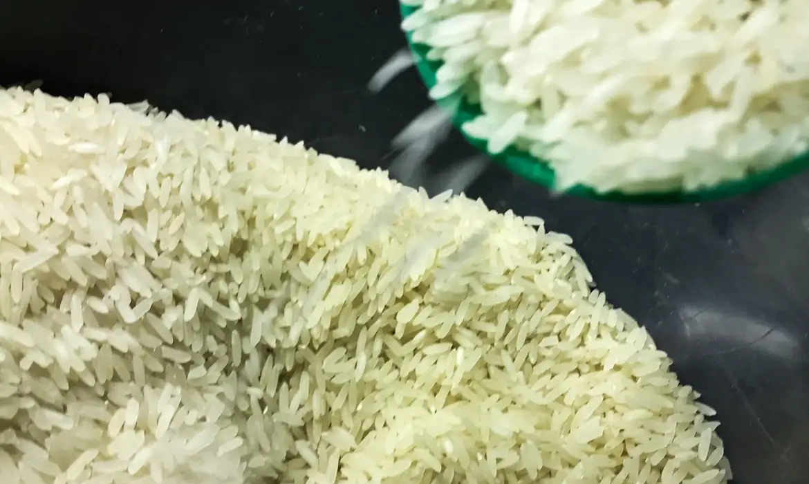 Mais de 260 mil toneladas de arroz seriam compradas pelo Governo Federal