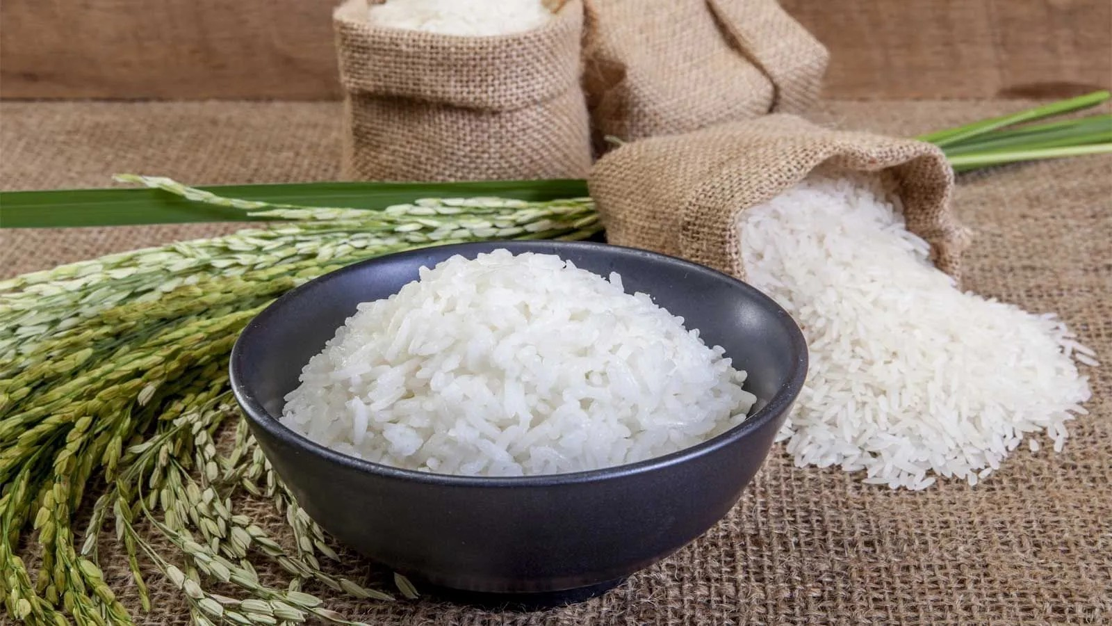 Compra do arroz objetiva mitigar o desastre climático no Rio Grande do Sul