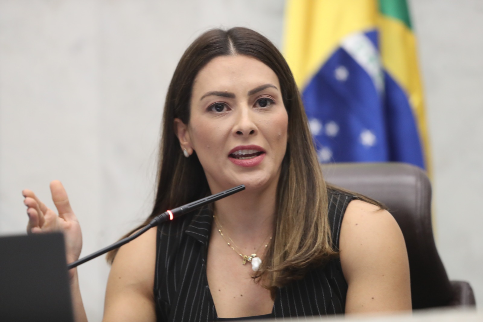 Mabel Canto (PSDB) é a líder da bancada feminina na Assembleia Legislativa