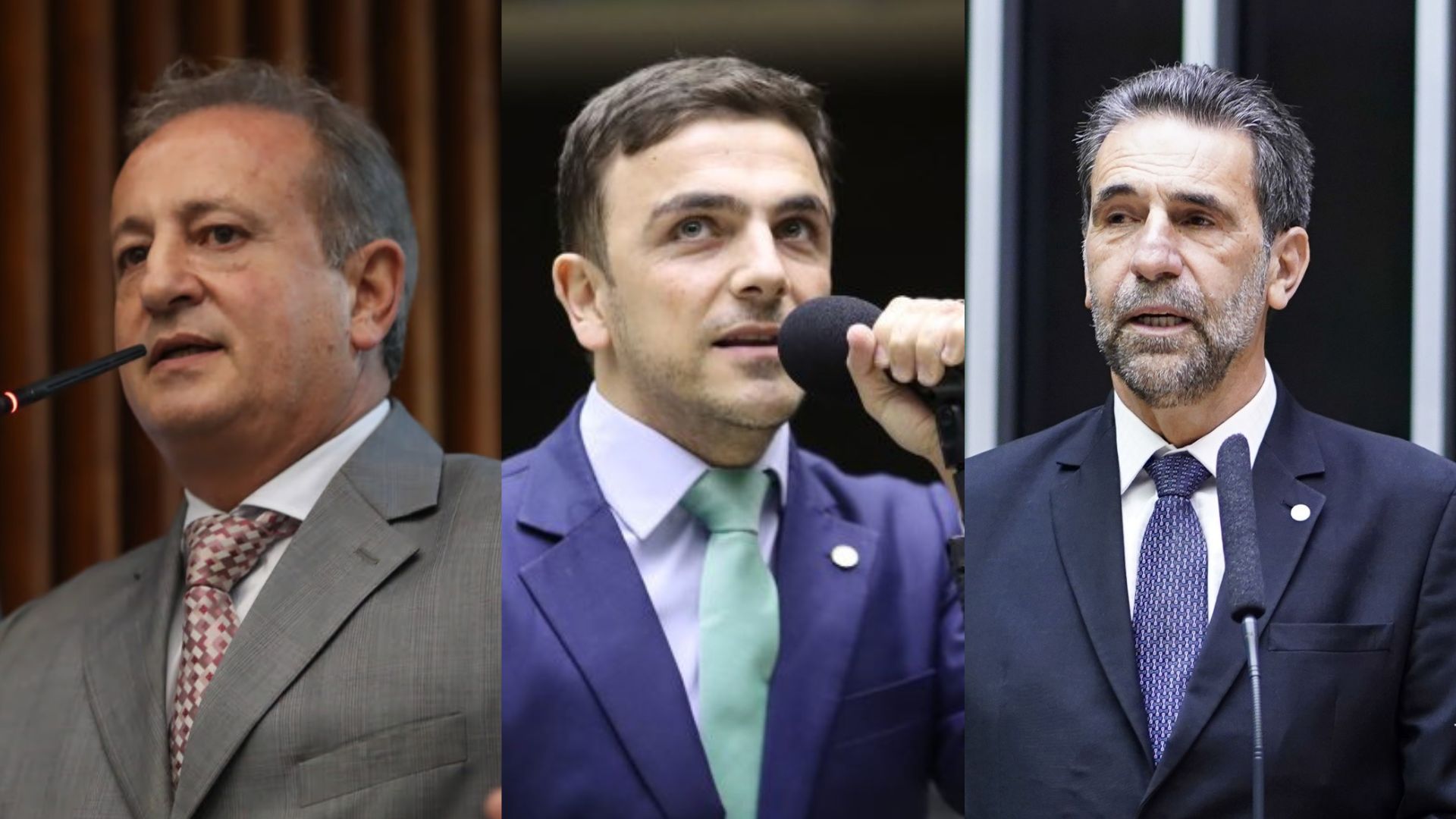 Moacyr Fadel, Aliel Machado e Ênio Verri estão entre os homenageados