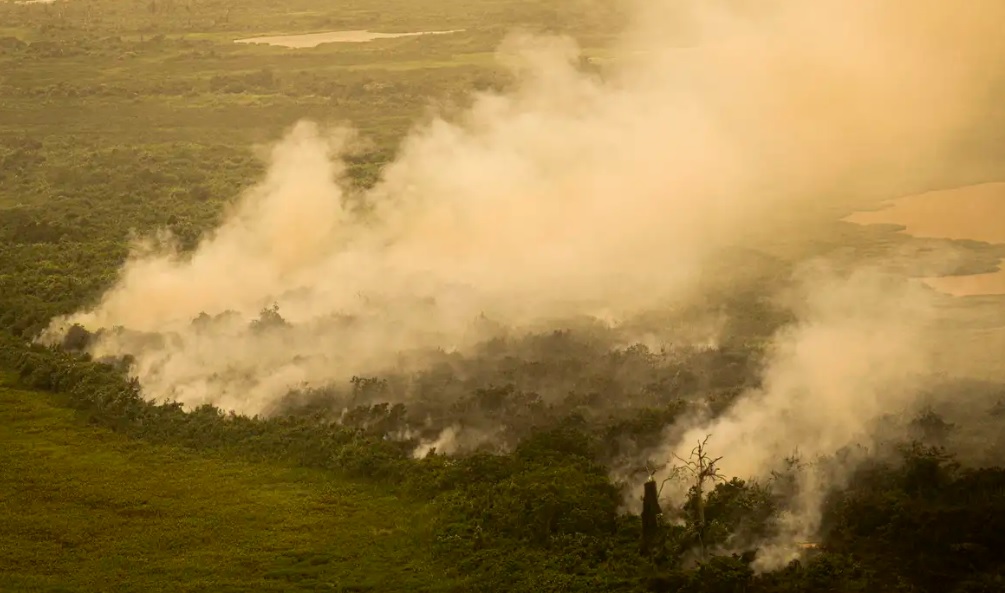 Diversos órgãos e agências atuam em conjunto na ação de combate ao incêndio no Pantanal