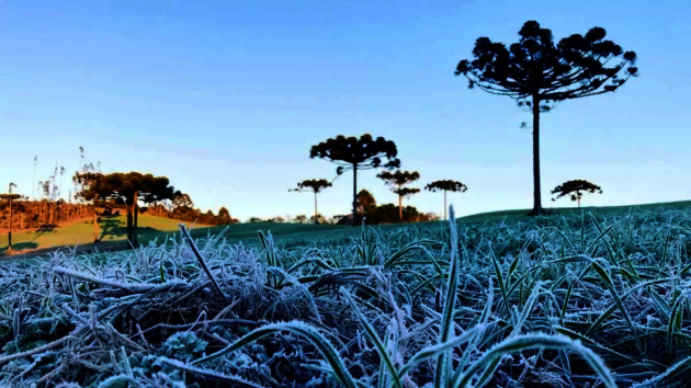 Temperaturas devem cair no Paraná, nos próximos dias