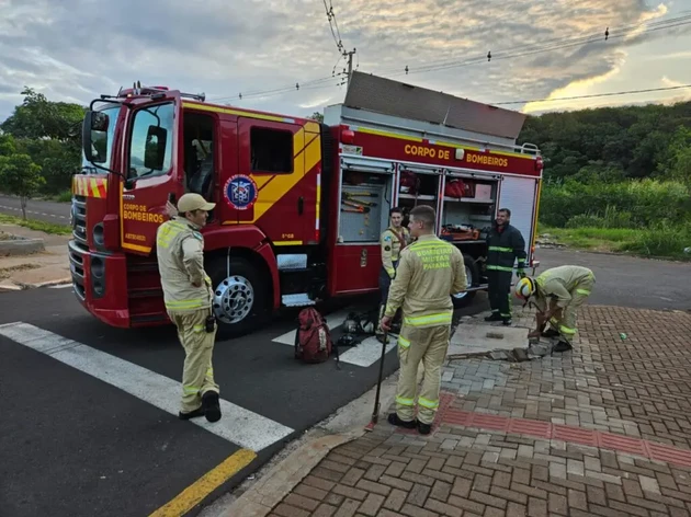 Os bombeiros foram acionados para resgatar o pedestre