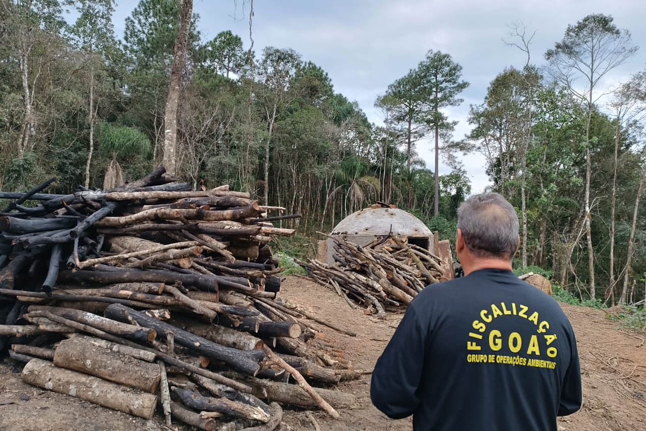 Técnicos do IAT aplicaram quase R$ 7 milhões em multa por desmatamento ilegal na região de Guarapuava