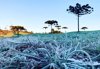 Há o risco leve de perda de plantações e temperatura mínima de 3°C