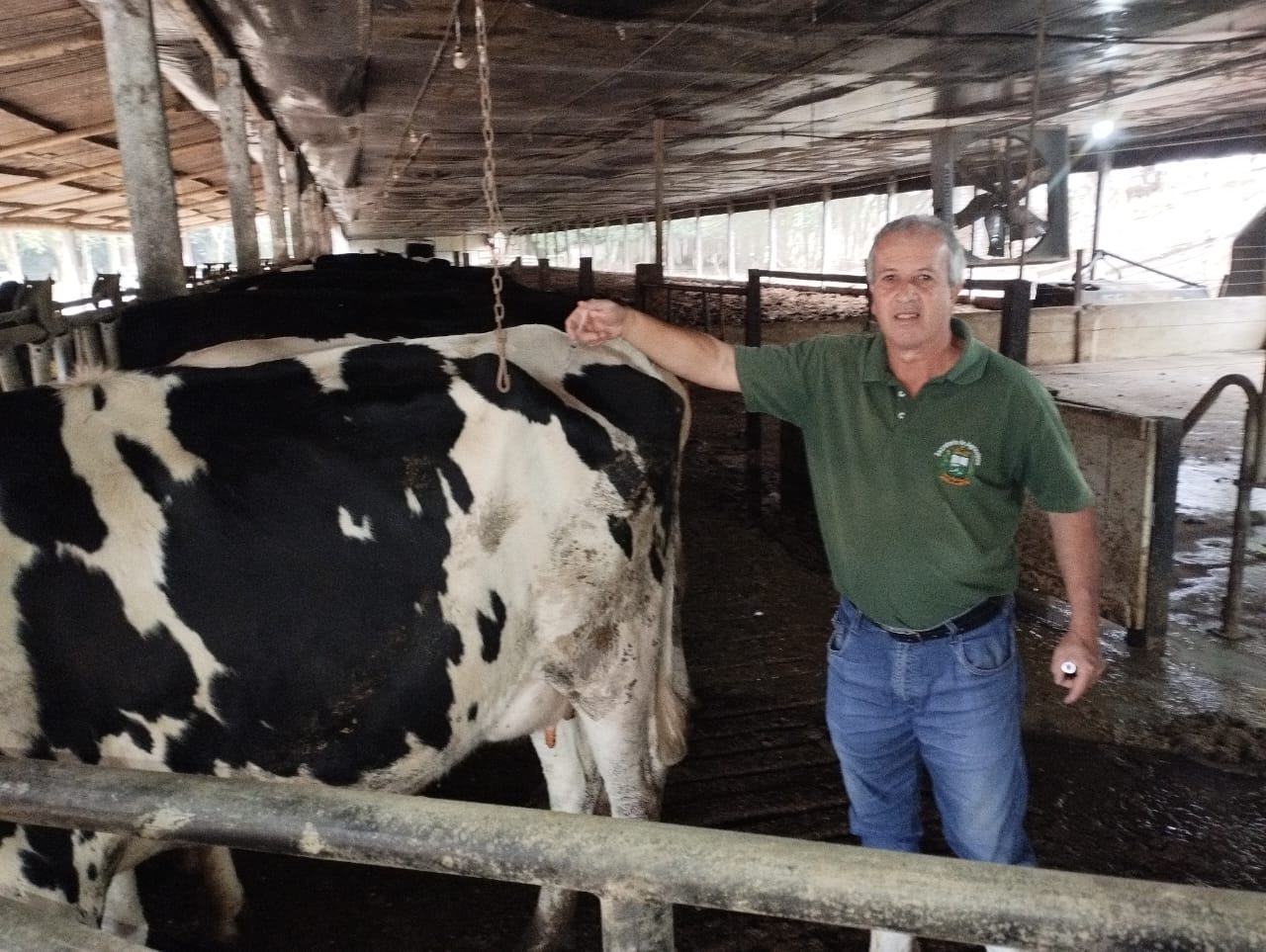 Os animais são acompanhados depois da inseminação para fazer o diagnóstico de gestação