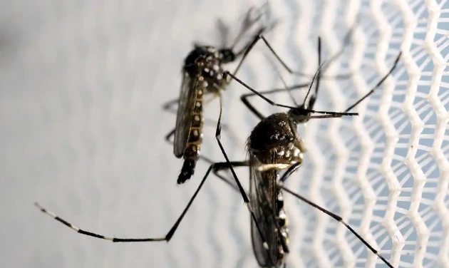 Ponta Grossa ultrapassou 4,5 mil casos confirmados de dengue, segundo o último boletim da SESA