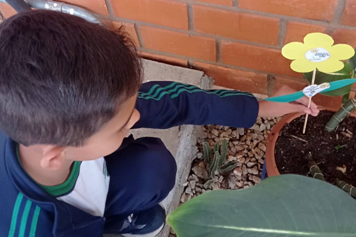 Flores, símbolo da campanha, foram um dos recursos utilizados pela classe