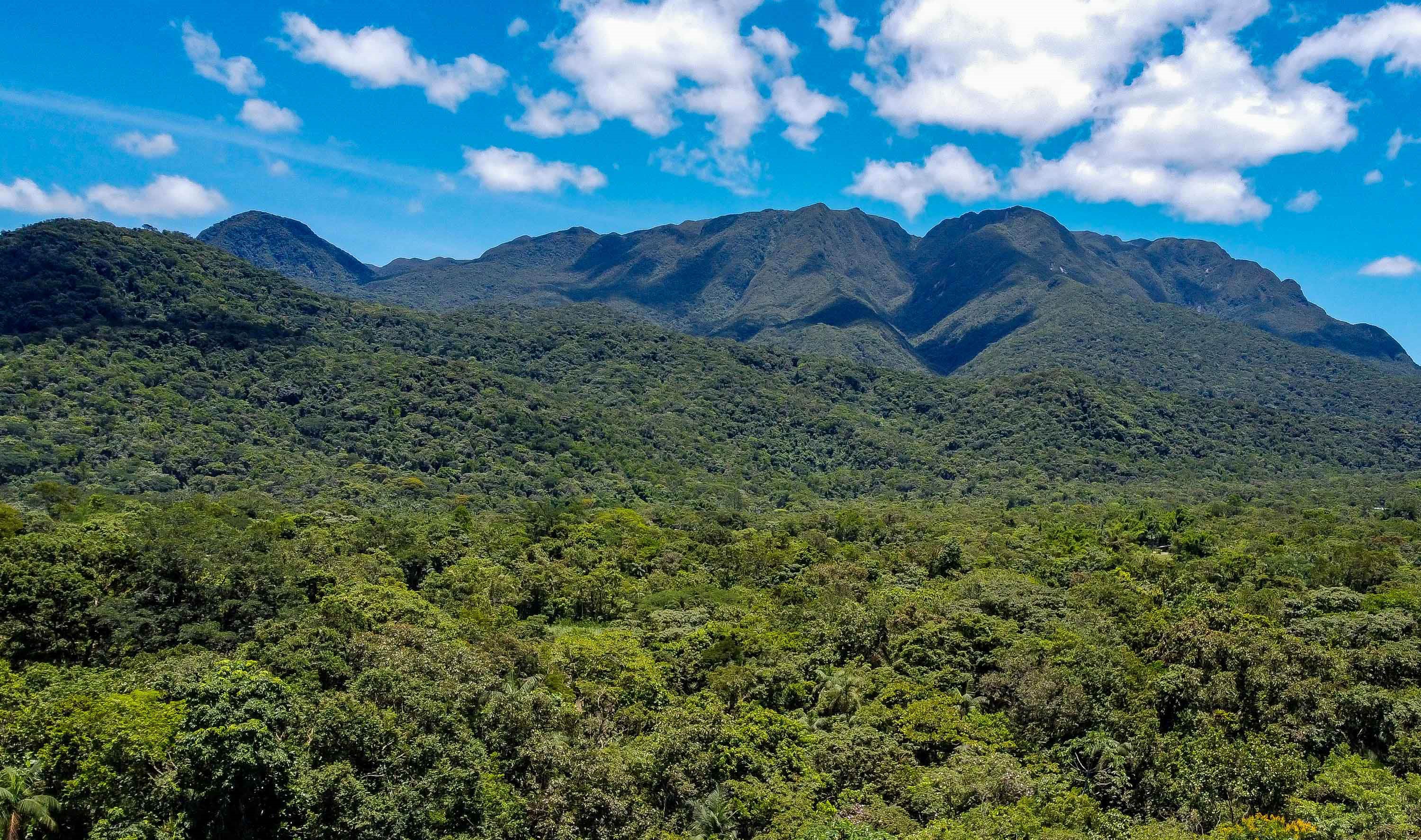 Paraná avança para ser 1º governo subnacional a adotar créditos de biodiversidade