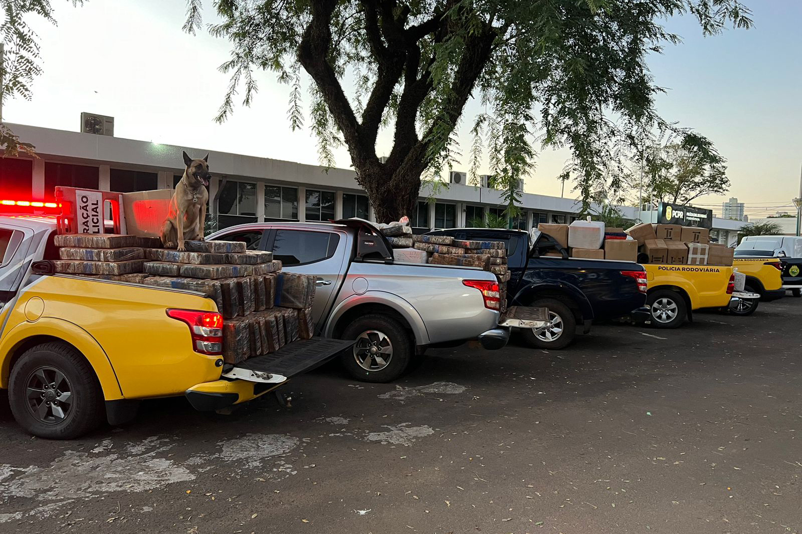 Apreensão aconteceu na madrugada desta quinta-feira (6) em Maringá