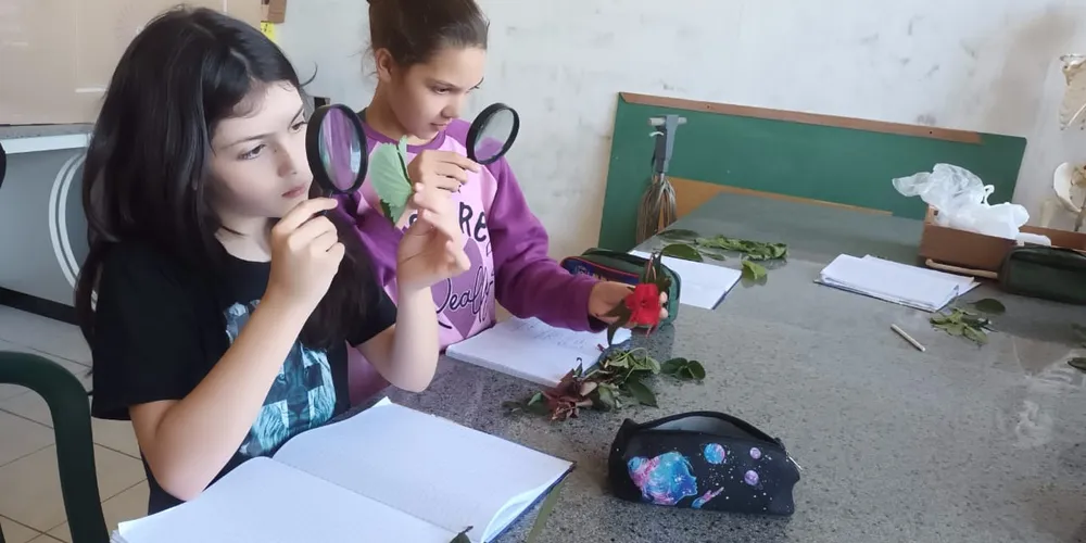 Professora destacou amplo engajamento e participação dos estudantes