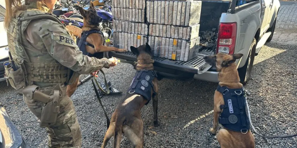O veículo foi abordado após ser observada a carga sendo transportada com riscos à segurança viária