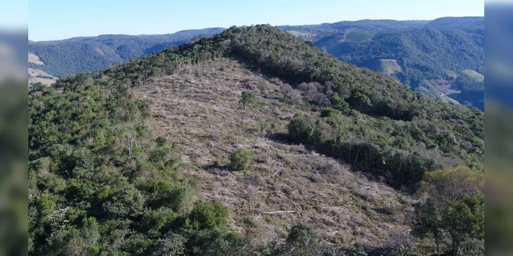 2,19 hectares foram destruídos