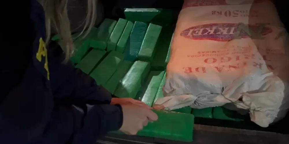 Droga seria levada para Curitiba