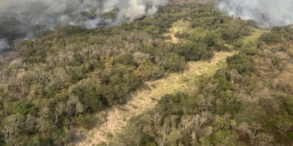 Apesar das queimadas, qualidade do ar se mantém em níveis aceitáveis no Paraná
