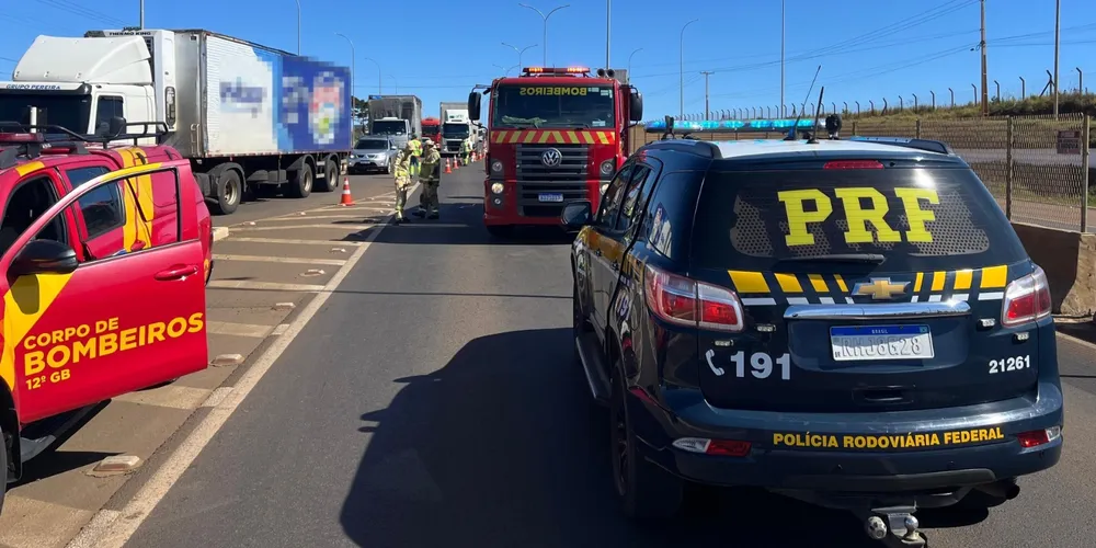 Atropelamento foi registrado no KM 346 da BR-277