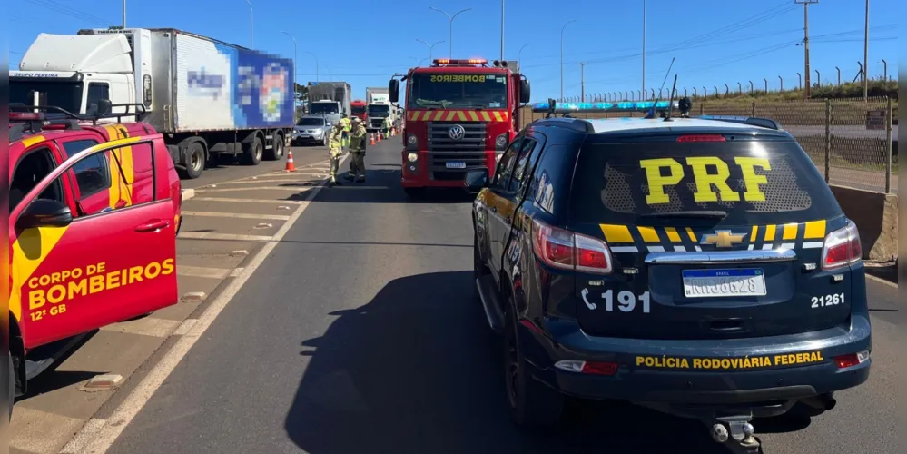 Atropelamento foi registrado no KM 346 da BR-277