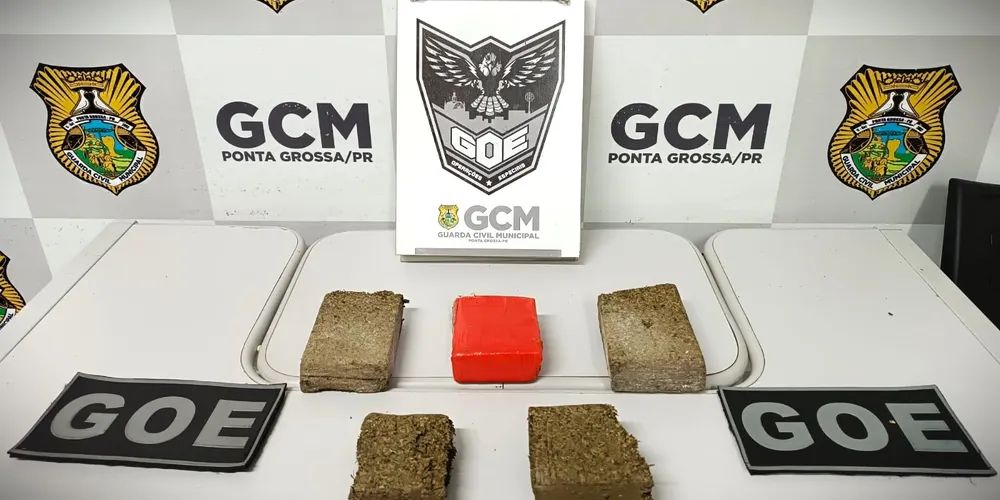 Drogas foram encaminhadas à delegacia de Ponta Grossa