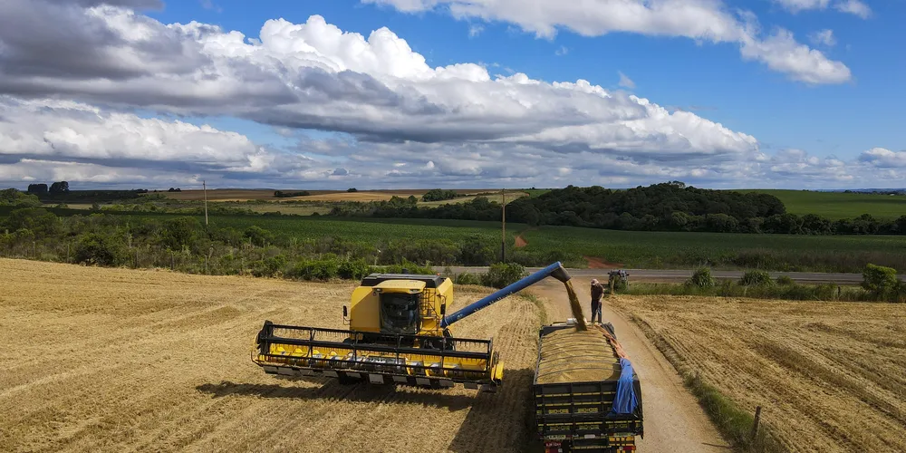 Seca e geadas impactaram a colheita de trigo e cevada da safra 2023/2024